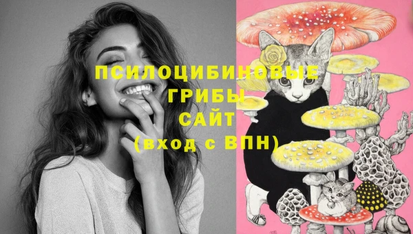ГАЛЛЮЦИНОГЕННЫЕ ГРИБЫ Инта