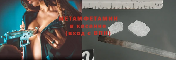 ГАЛЛЮЦИНОГЕННЫЕ ГРИБЫ Инта