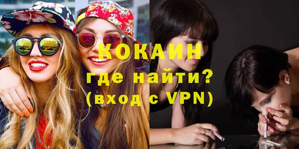 ГАЛЛЮЦИНОГЕННЫЕ ГРИБЫ Инта