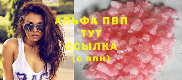 ГАЛЛЮЦИНОГЕННЫЕ ГРИБЫ Инта
