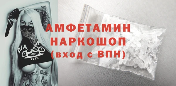 ГАЛЛЮЦИНОГЕННЫЕ ГРИБЫ Инта