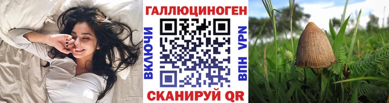 Купить  Жиздра  Псилоцибиновые грибы GOLDEN TEACHER 