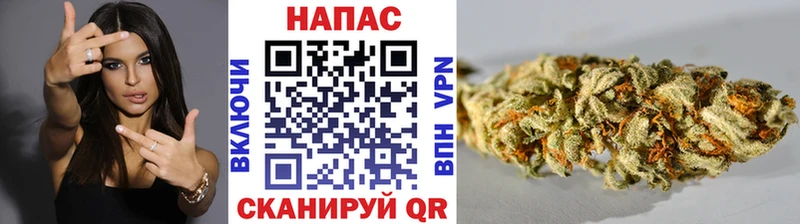 МАРИХУАНА гибрид  Купить где  Жиздра 